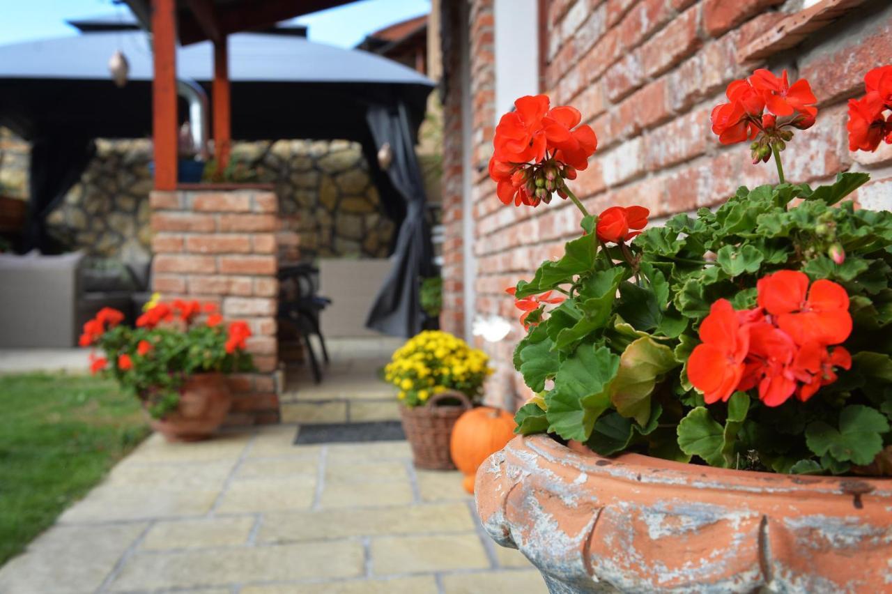 Janicsar Garden Apartman Егер Екстериор снимка