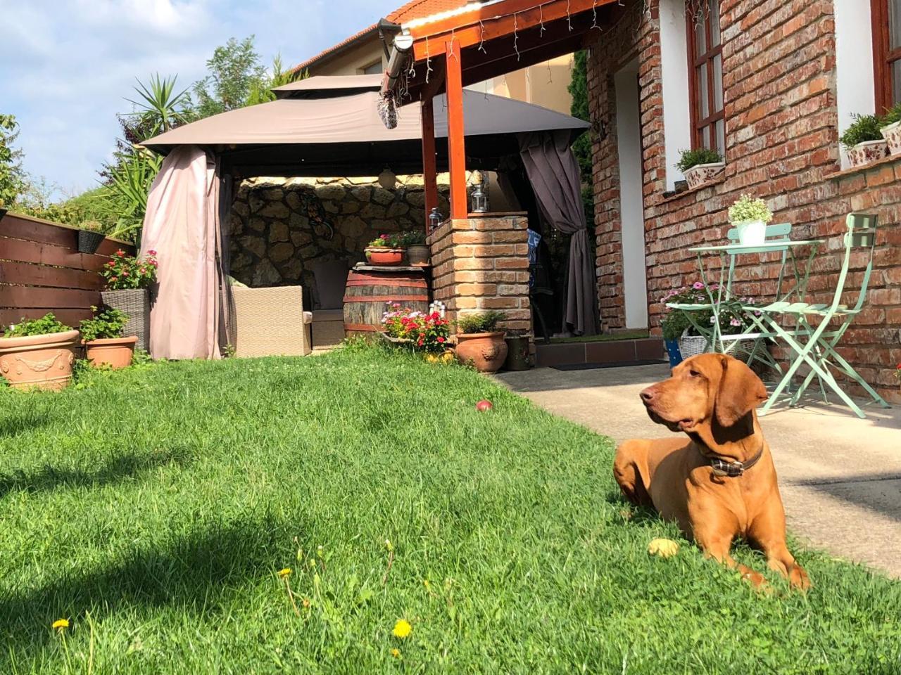 Janicsar Garden Apartman Егер Екстериор снимка