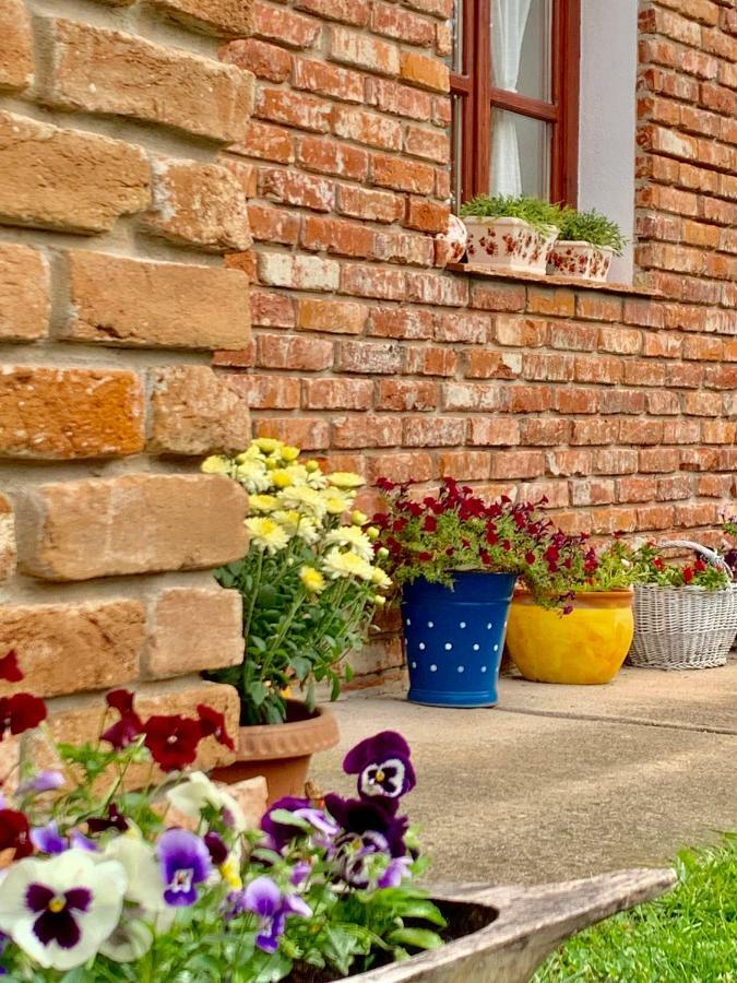 Janicsar Garden Apartman Егер Екстериор снимка